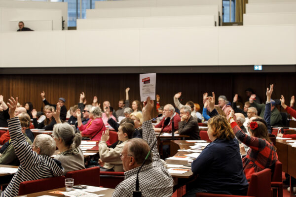 Abstimmung mit Handzeichen im Behindertenparlament